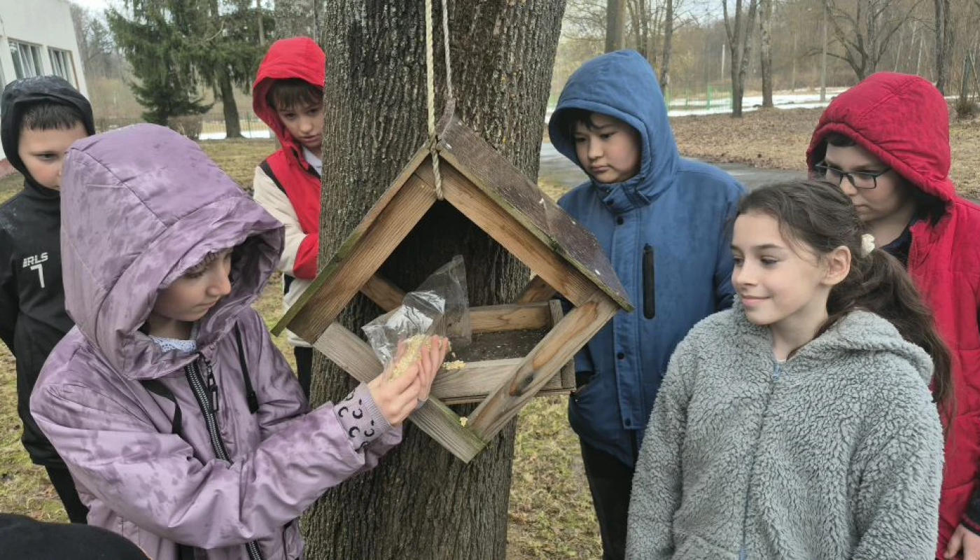 «Накорми пернатого»